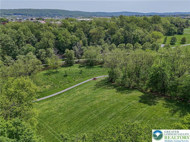 1845 Lehigh Pkwy N, Allentown City, PA 18103 - drone / aerial view of a forest