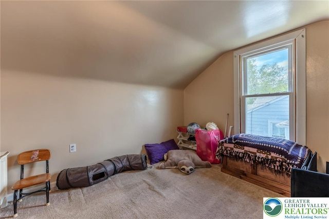 46 Jefferson St, Weatherly Borough, PA 18255 - additional living space featuring carpet flooring and lofted ceiling