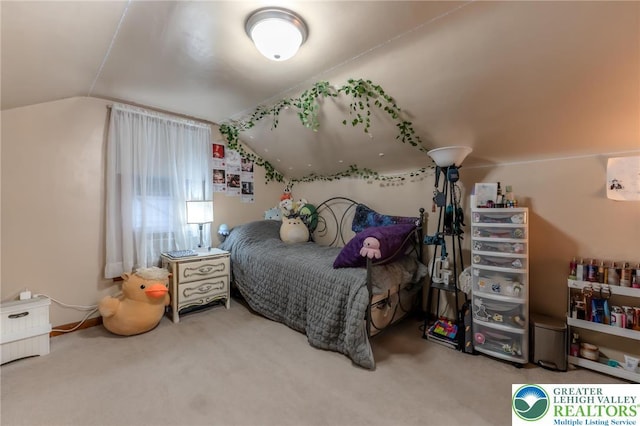 46 Jefferson St, Weatherly Borough, PA 18255 - bedroom with lofted ceiling and carpet floors