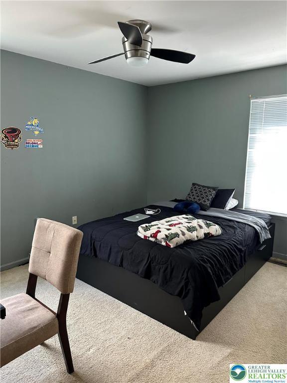 519 Lehigh Gap St, Walnutport Borough, PA 18088 - bedroom with carpet and ceiling fan