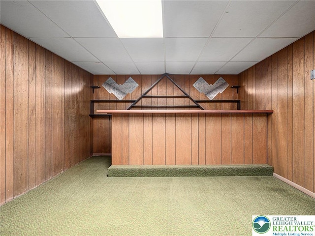 1218 Avocet Dr, Upper Macungie Twp, PA 18031 - bar featuring carpet floors, wood walls, a paneled ceiling, and baseboards