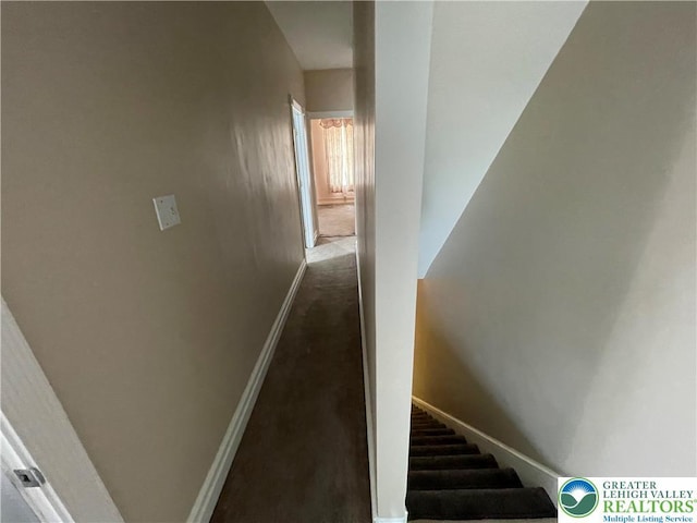 123 N Penn St, Allentown City, PA 18102 - staircase featuring baseboards and carpet flooring