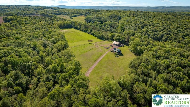 1650 Spruce Hollow Rd, Towamensing Township, PA 18071 - aerial view of a heavily wooded area