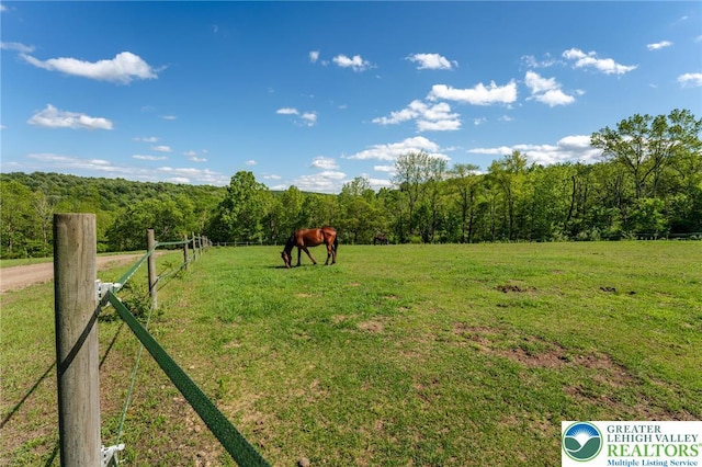 1650 Spruce Hollow Rd, Towamensing Township, PA 18071 - view of yard with a view of rural / pastoral area and a forest view