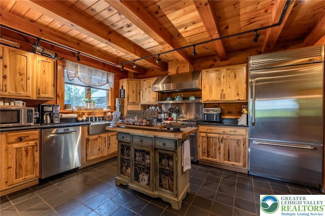 1650 Spruce Hollow Rd, Towamensing Township, PA 18071 - kitchen with appliances with stainless steel finishes, rail lighting, extractor fan, dark countertops, and wooden ceiling with exposed beams