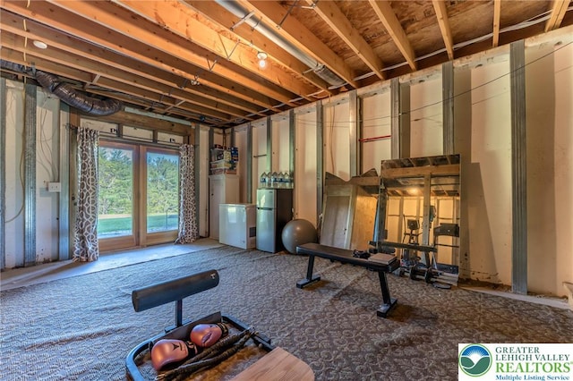 1650 Spruce Hollow Rd, Towamensing Township, PA 18071 - exercise room featuring carpet floors
