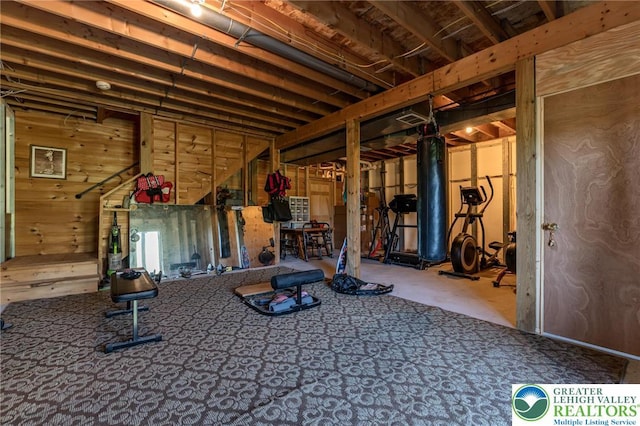 1650 Spruce Hollow Rd, Towamensing Township, PA 18071 - below grade area featuring wood walls and carpet flooring