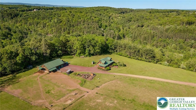 1650 Spruce Hollow Rd, Towamensing Township, PA 18071 - bird's eye view of a forest