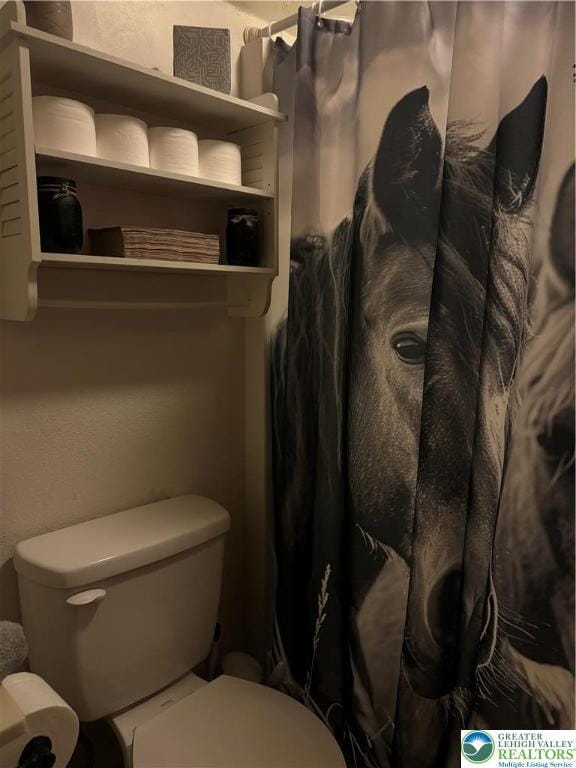 1650 Spruce Hollow Rd, Towamensing Township, PA 18071 - bathroom featuring toilet and curtained shower