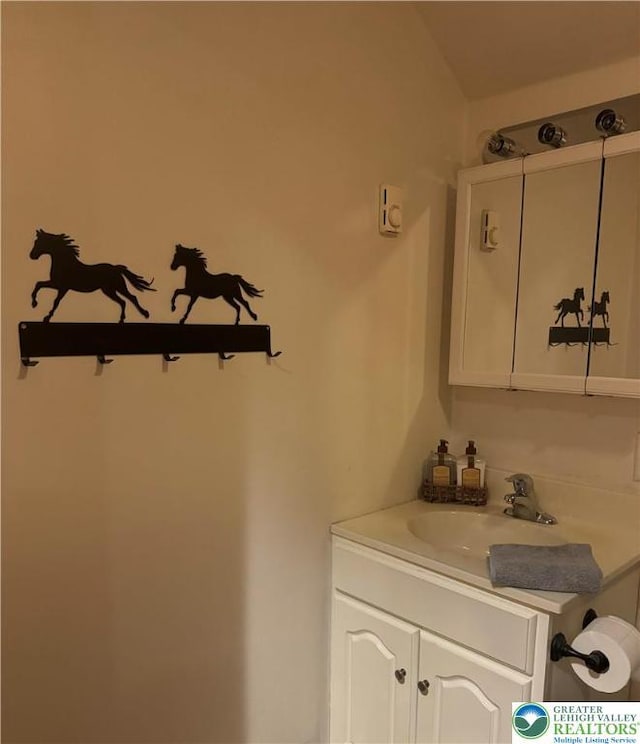1650 Spruce Hollow Rd, Towamensing Township, PA 18071 - bathroom with vanity