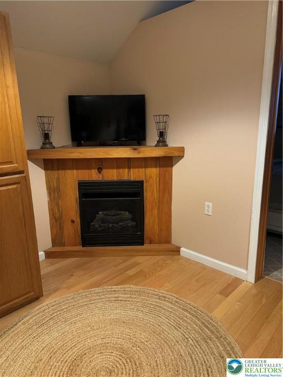 1650 Spruce Hollow Rd, Towamensing Township, PA 18071 - detailed view of wood finished floors, baseboards, and a fireplace