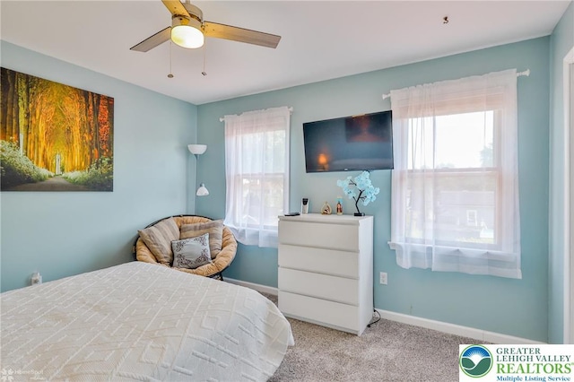 3940 Dewalt St, Bethlehem Twp, PA 18020 - carpeted bedroom with baseboards and ceiling fan