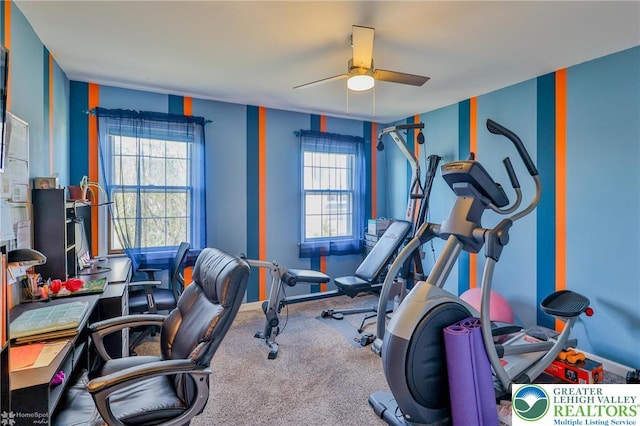 3940 Dewalt St, Bethlehem Twp, PA 18020 - workout area with ceiling fan, carpet flooring, and baseboards