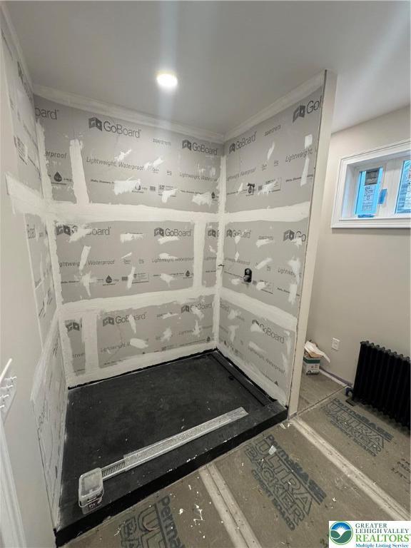 1028 Washington Blvd, Washington Twp, PA 18013 - storage area with radiator