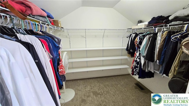 4125 Redbud Dr W, Whitehall Twp, PA 18052 - spacious closet with carpet and vaulted ceiling
