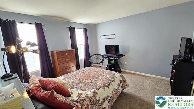 4125 Redbud Dr W, Whitehall Twp, PA 18052 - carpeted bedroom with baseboards