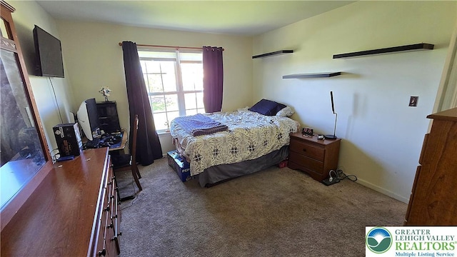 4125 Redbud Dr W, Whitehall Twp, PA 18052 - bedroom featuring carpet flooring