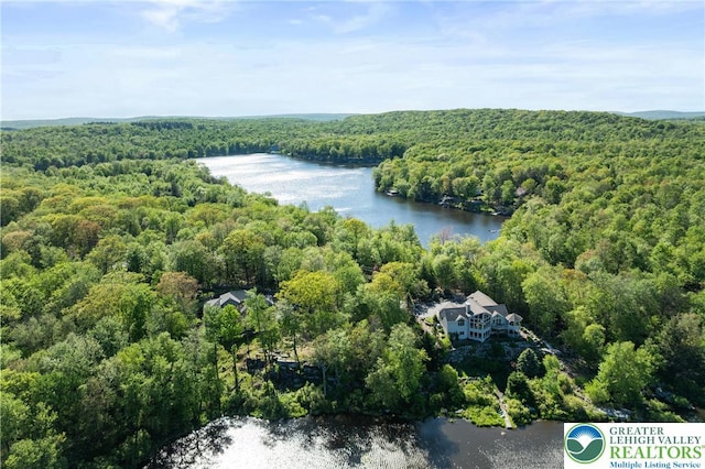 2107 Lenape Ter, Barrett Twp, PA 18325 - aerial view of a heavily wooded area and a nearby body of water