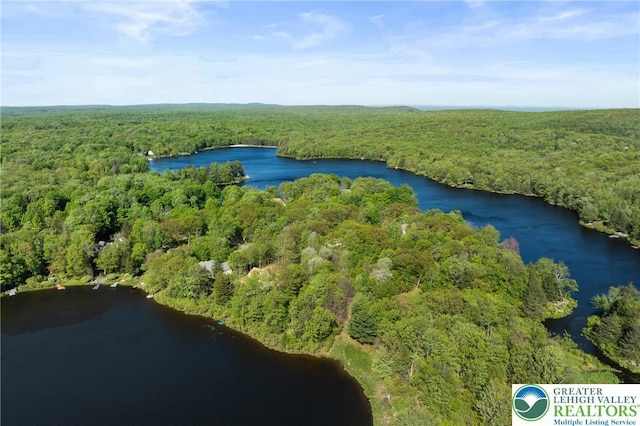 2107 Lenape Ter, Barrett Twp, PA 18325 - bird's eye view of a heavily wooded area and a nearby body of water