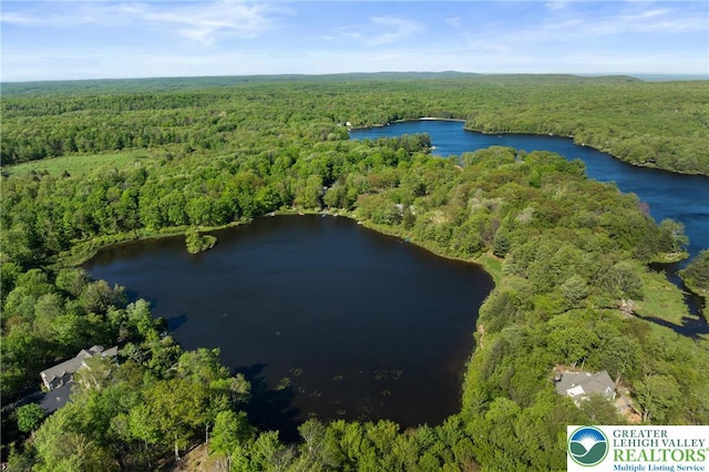 2107 Lenape Ter, Barrett Twp, PA 18325 - aerial view of a heavily wooded area and a nearby body of water