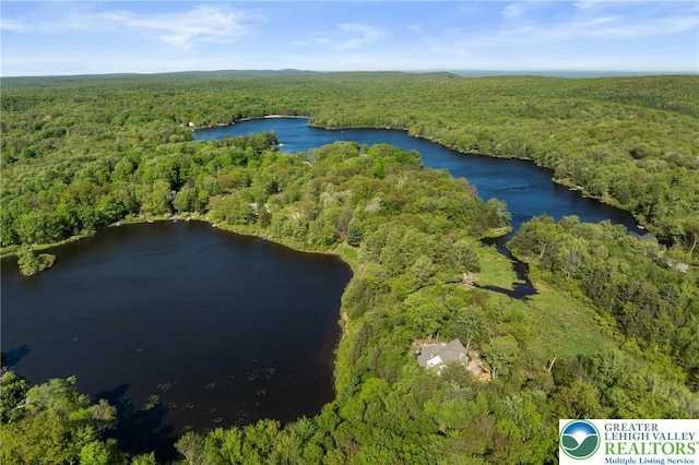 2107 Lenape Ter, Barrett Twp, PA 18325 - bird's eye view of a heavily wooded area and a nearby body of water