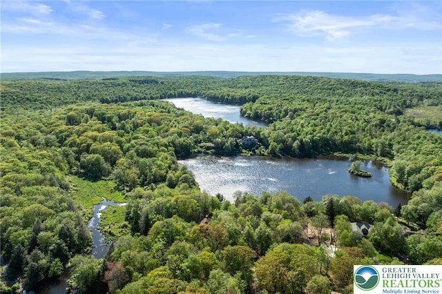 2107 Lenape Ter, Barrett Twp, PA 18325 - bird's eye view of a forest and a nearby body of water