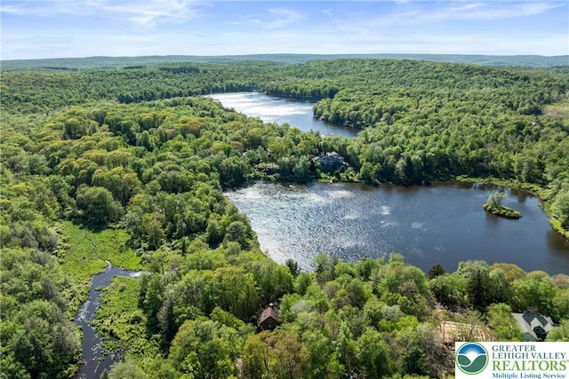 2107 Lenape Ter, Barrett Twp, PA 18325 - aerial view of a heavily wooded area and a nearby body of water