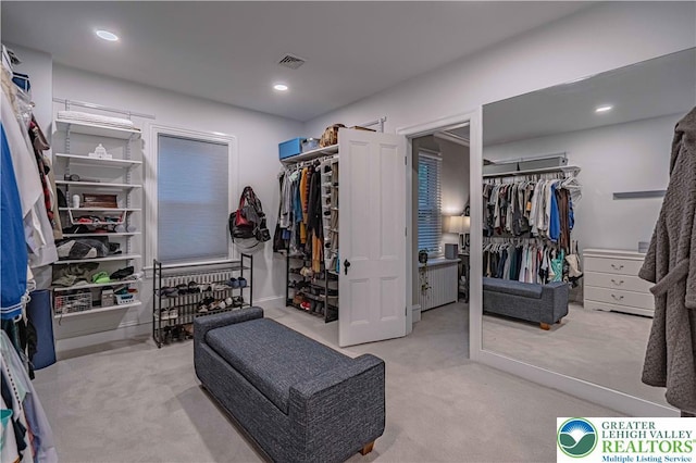 306 W Paxinosa Rd, Forks Twp, PA 18040 - spacious closet with carpet floors