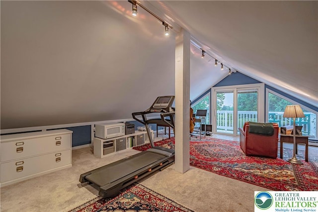 306 W Paxinosa Rd, Forks Twp, PA 18040 - additional living space featuring carpet flooring and lofted ceiling