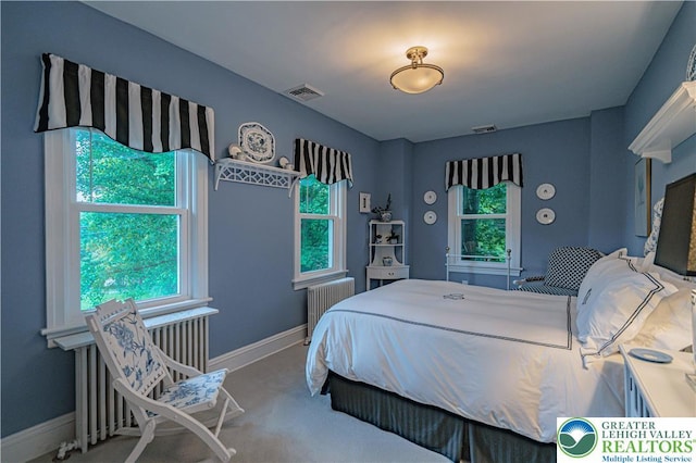 306 W Paxinosa Rd, Forks Twp, PA 18040 - bedroom with carpet, baseboards, and radiator