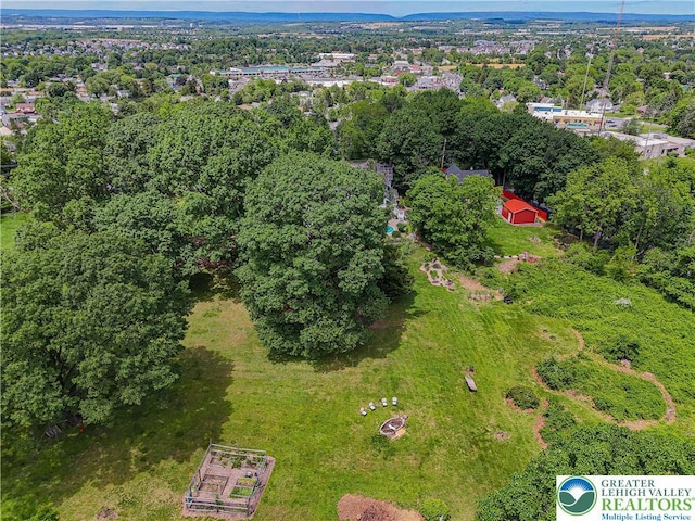 306 W Paxinosa Rd, Forks Twp, PA 18040 - drone / aerial view