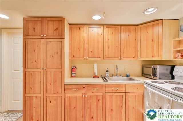 113 S Fairview St, Macungie Borough, PA 18062 - kitchen with white electric range oven, a sink, stainless steel microwave, light brown cabinetry, and light countertops