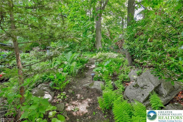 113 S Fairview St, Macungie Borough, PA 18062 - view of local wilderness