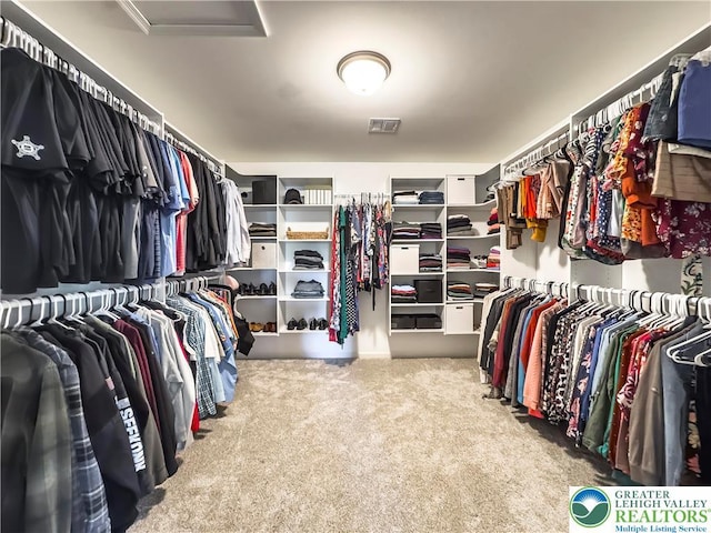 2638 Hollow View Dr, Forks Twp, PA 18040 - spacious closet featuring carpet floors and attic access