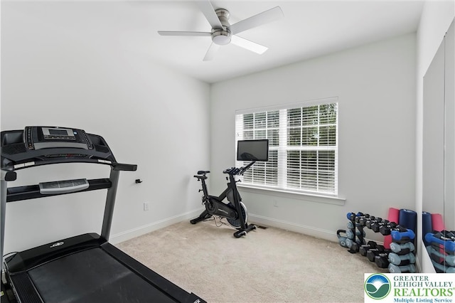 2638 Hollow View Dr, Forks Twp, PA 18040 - exercise area featuring carpet, a ceiling fan, and baseboards