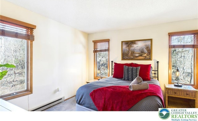 177 Dogwood Ter, Tunkhannock Township, PA 18210 - carpeted bedroom featuring a baseboard heating unit