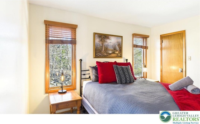 177 Dogwood Ter, Tunkhannock Township, PA 18210 - carpeted bedroom with multiple windows