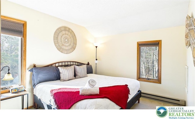 177 Dogwood Ter, Tunkhannock Township, PA 18210 - bedroom with baseboard heating and vaulted ceiling
