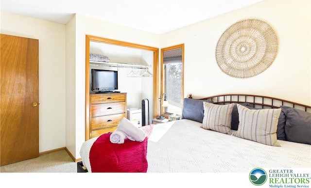 177 Dogwood Ter, Tunkhannock Township, PA 18210 - bedroom with carpet floors and baseboards