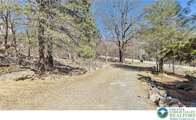 177 Dogwood Ter, Tunkhannock Township, PA 18210 - view of road
