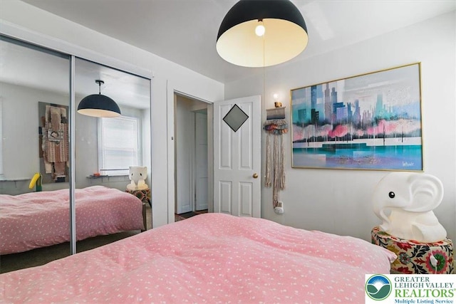 413 S Ave, Jim Thorpe Borough, PA 18229 - bedroom with a closet