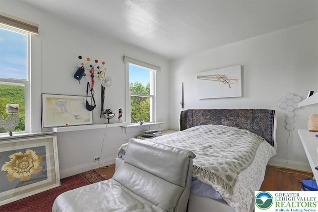 413 S Ave, Jim Thorpe Borough, PA 18229 - bedroom with wood finished floors and baseboards