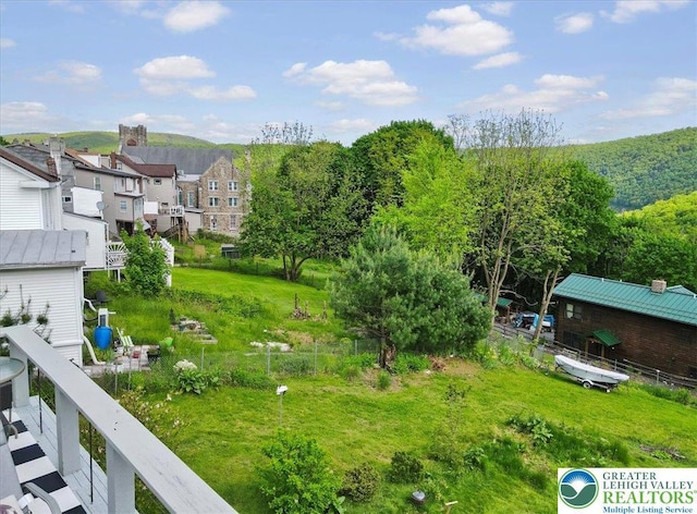 413 S Ave, Jim Thorpe Borough, PA 18229 - view of yard