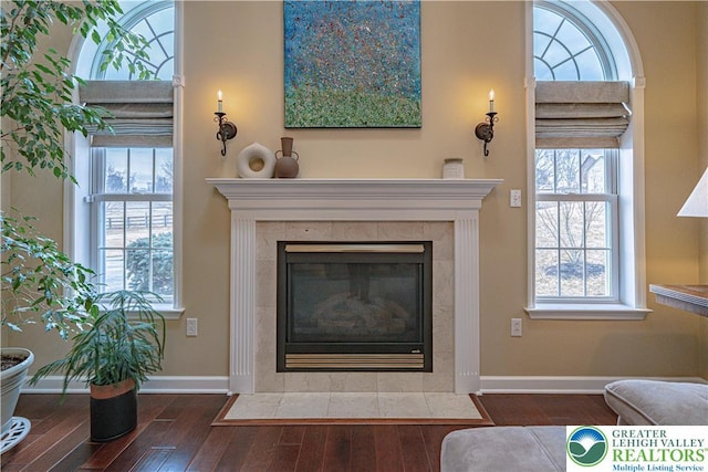 4408 Irish Creek Rd, Pa, PA 19506 - detailed view of wood finished floors, a tile fireplace, and baseboards