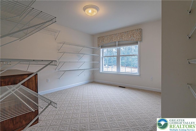 4408 Irish Creek Rd, Pa, PA 19506 - walk in closet featuring carpet