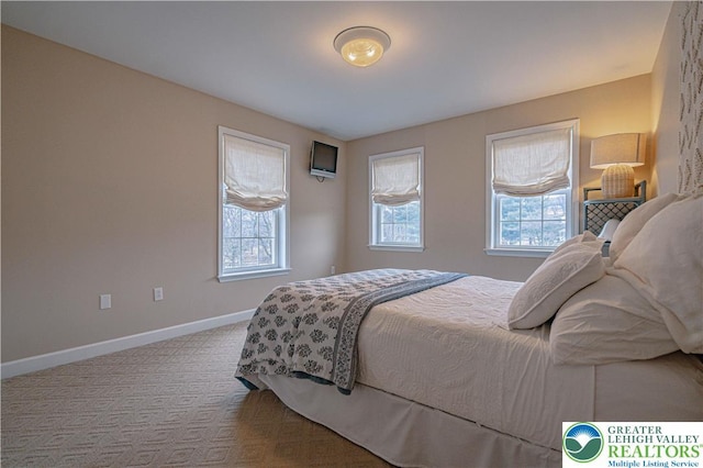 4408 Irish Creek Rd, Pa, PA 19506 - bedroom featuring baseboards and carpet