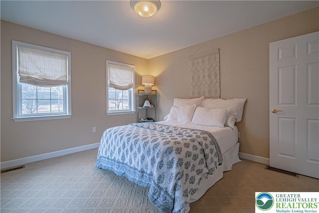 4408 Irish Creek Rd, Pa, PA 19506 - bedroom with carpet flooring and baseboards