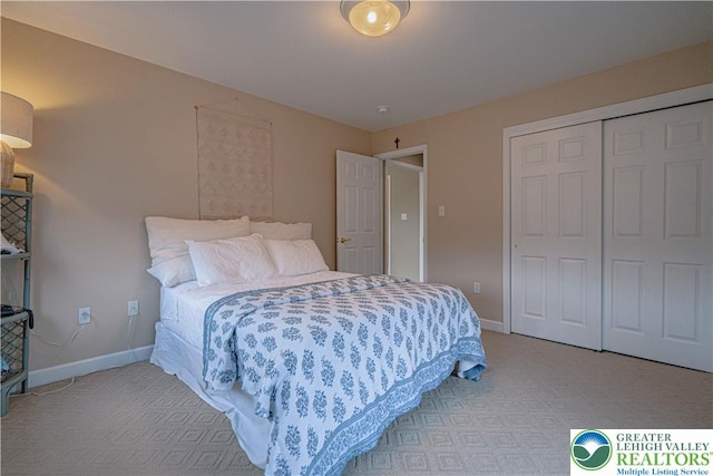 4408 Irish Creek Rd, Pa, PA 19506 - carpeted bedroom with baseboards and a closet