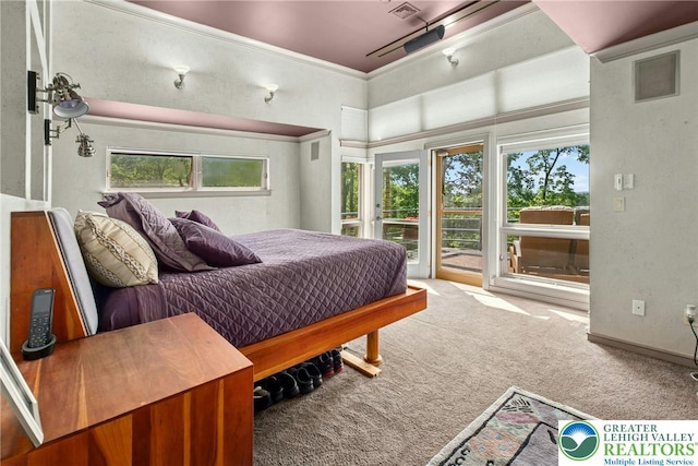 310 Hunters Farm Rd, Paradise Twp, PA 18332 - carpeted bedroom featuring access to outside, multiple windows, and crown molding