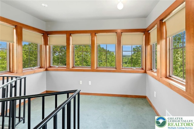 310 Hunters Farm Rd, Paradise Twp, PA 18332 - unfurnished sunroom with carpet flooring, baseboards, and healthy amount of natural light
